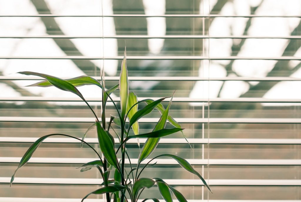 Blinds & Blankets